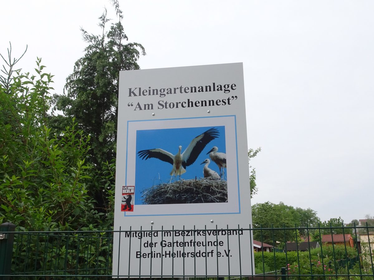 Ein Vergessenes Stuck Land Aus Einer Brache Werden Kleingarten Hellersdorfer Gartenfreunde